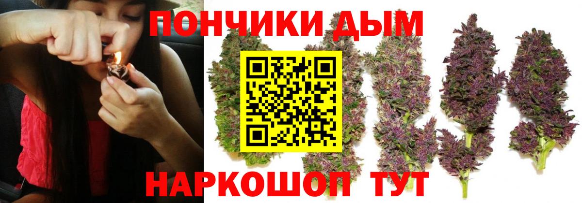 Баксан  Бошки марихуана сатива  Каннабис MAZAR  МАРИХУАНА ГИДРОПОН  Бошки марихуана MAZAR  Вход с VPN 